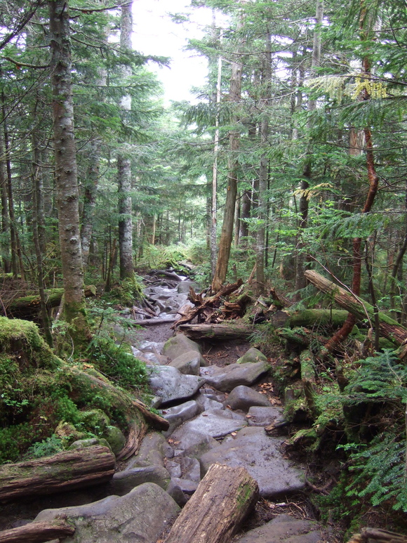 a0094280_21125680.jpg