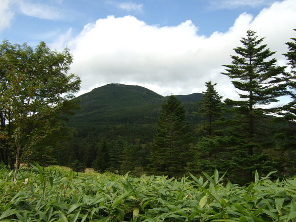 a0094280_21153999.jpg