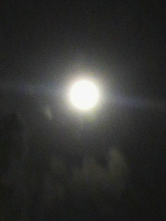 f0016981_2210422.jpg