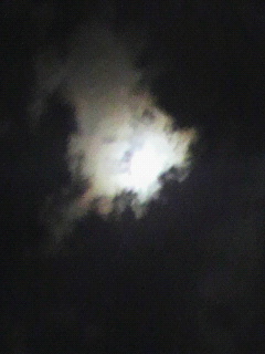f0016981_2292235.jpg