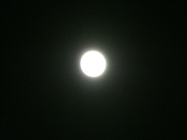 e0145782_1502367.jpg