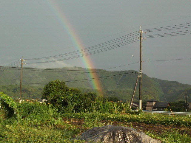 e0019187_10552584.jpg