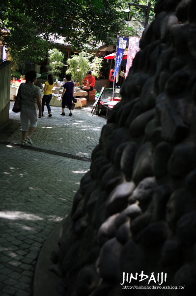d0158191_20453229.jpg
