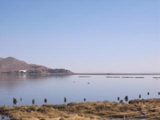 a0137192_2325999.jpg