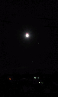 c0189894_20502839.jpg