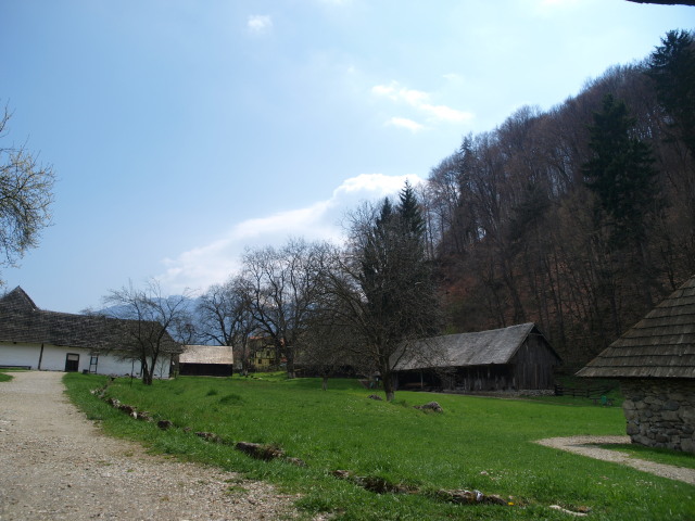 a0159697_22594458.jpg