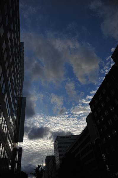b0141397_904198.jpg
