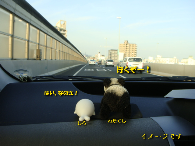 c0191597_14172633.jpg
