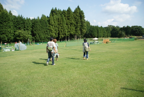 c0191597_14514439.jpg