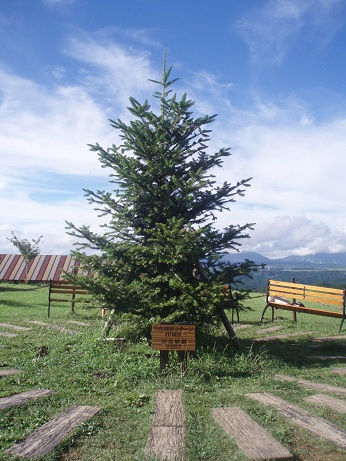 e0106098_2247233.jpg