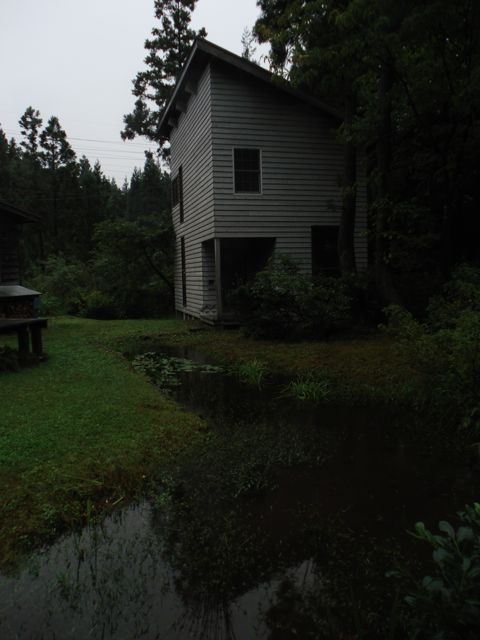 a0061599_7291316.jpg