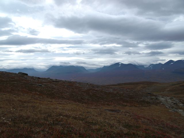 c0007501_2024257.jpg