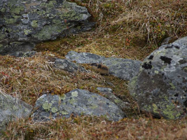 c0007501_20265662.jpg
