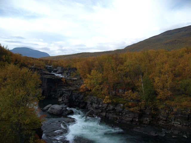 c0007501_2028567.jpg