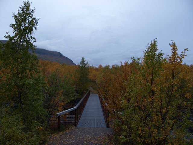 c0007501_20313281.jpg