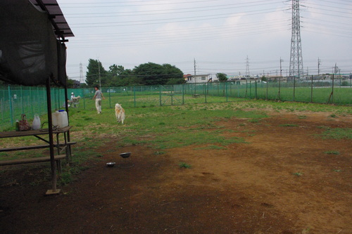 f0051701_19333451.jpg