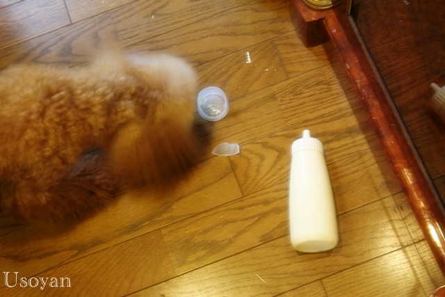 c0184402_22582726.jpg