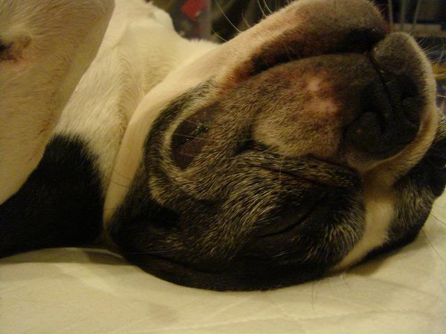 b0027203_2265668.jpg