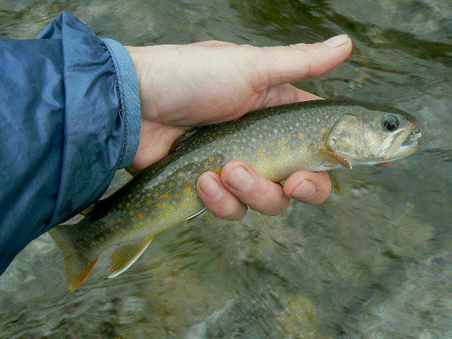 f0164503_22423672.jpg