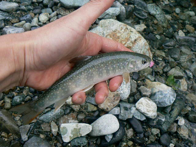 f0164503_22433085.jpg