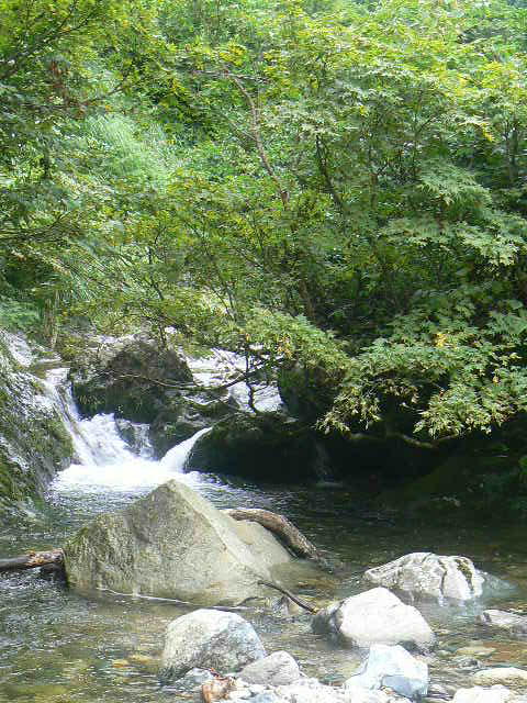 f0164503_22435436.jpg