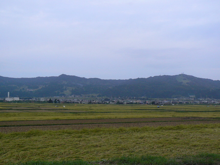 f0164503_22545244.jpg