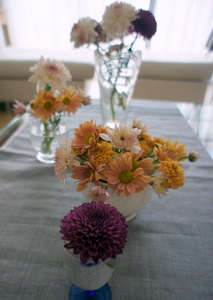 c0148705_17326.jpg