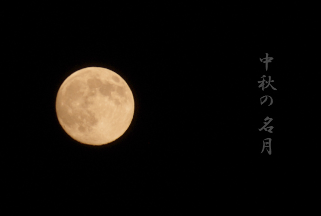 e0125305_2011614.jpg