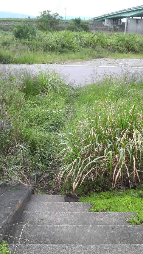 f0238707_21261073.jpg