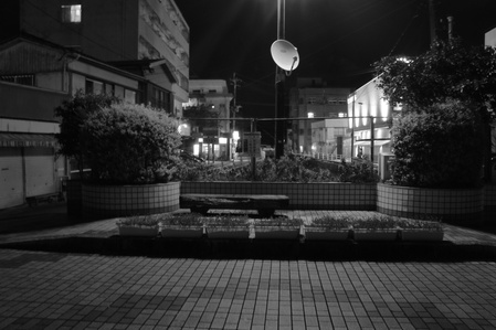 d0172508_22361673.jpg