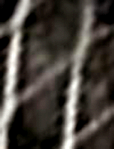 e0103408_151142100.gif