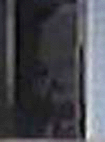 e0103408_15175054.gif