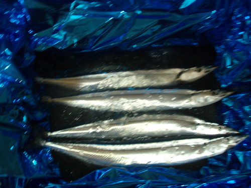 b0198109_2011554.jpg