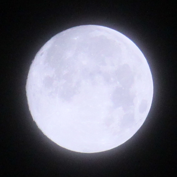 a0109914_1525812.jpg
