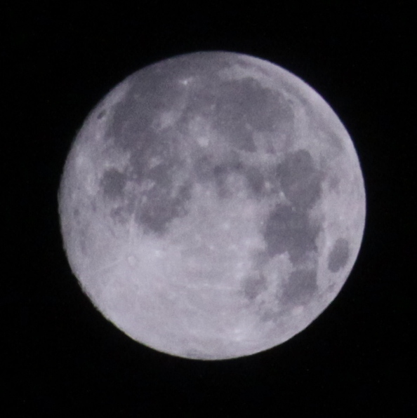 a0109914_1533484.jpg