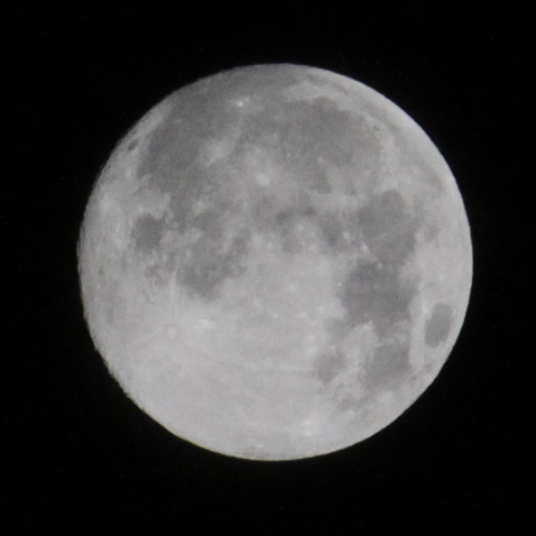 a0109914_154668.jpg