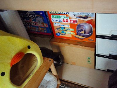 c0145016_20882.jpg