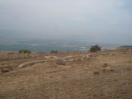 c0112823_252670.jpg