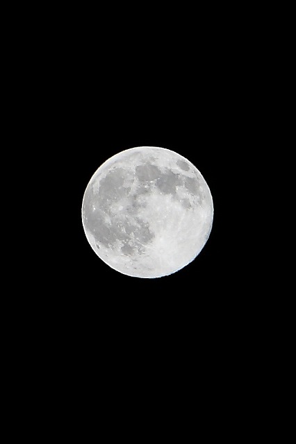 b0056924_12295395.jpg