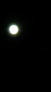 d0044825_16451921.jpg