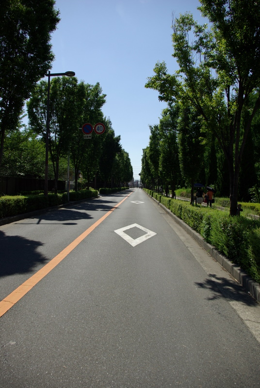 c0195327_23175840.jpg
