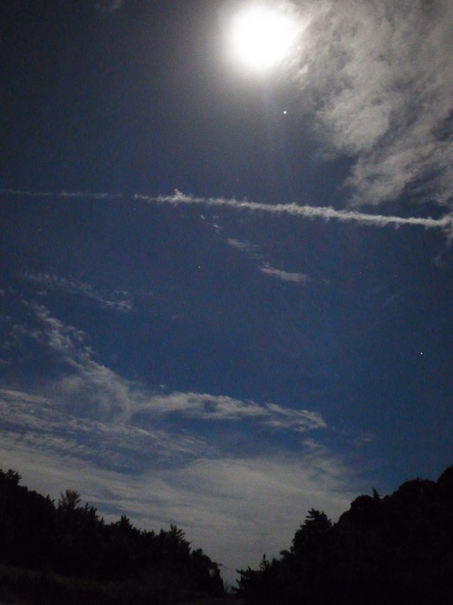 d0158028_2342464.jpg