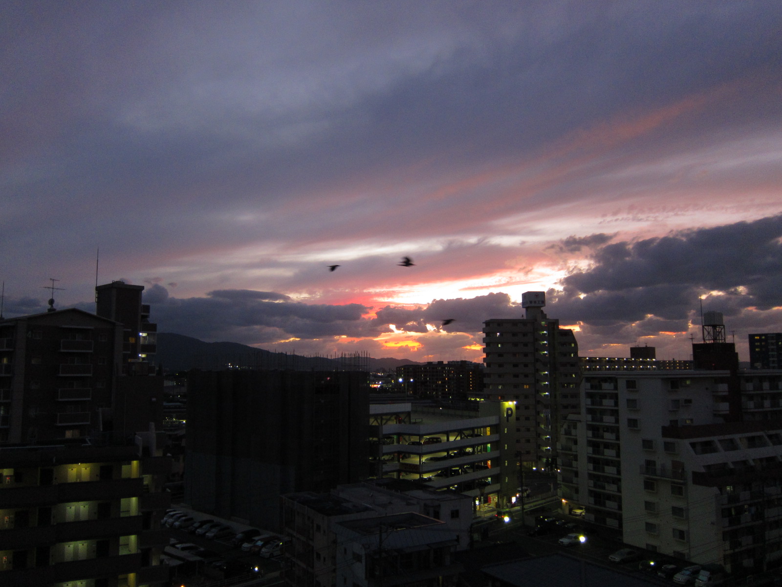 b0191633_284272.jpg