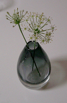 f0225144_18531744.jpg