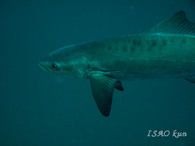 e0027447_2313468.jpg
