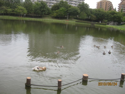 e0121548_203934100.jpg