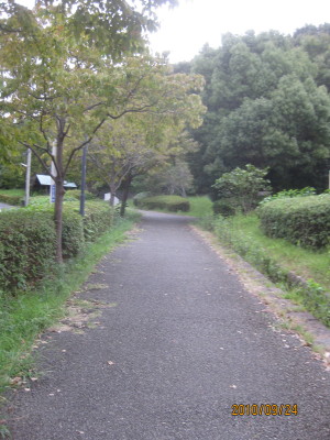 e0121548_21164125.jpg