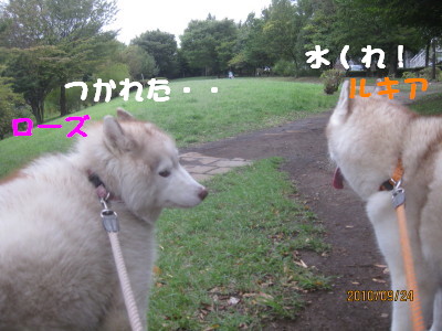e0121548_21212956.jpg