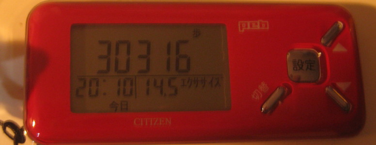 e0121548_2373699.jpg