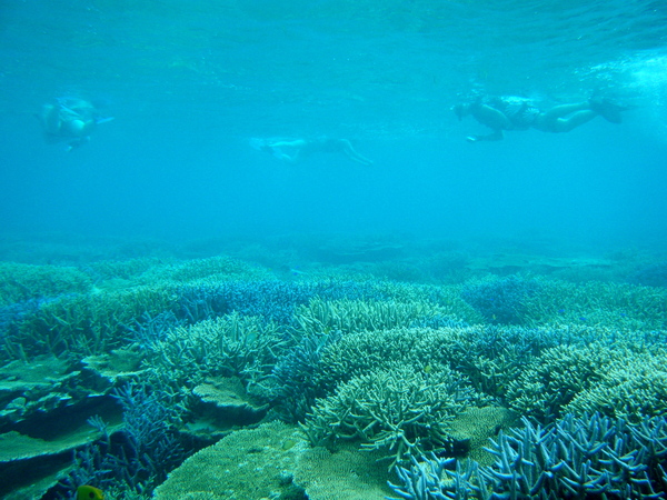e0134752_21261985.jpg